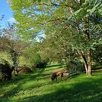 Holiday home Les Volets Bleus Du Segur Le Segur