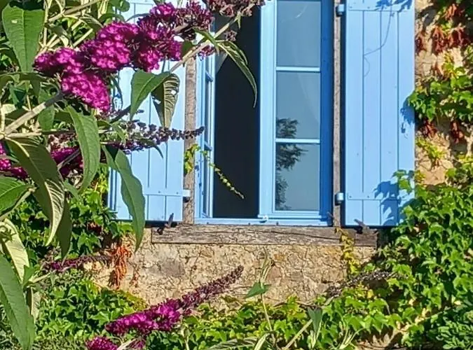 Les Volets Bleus Du Segur