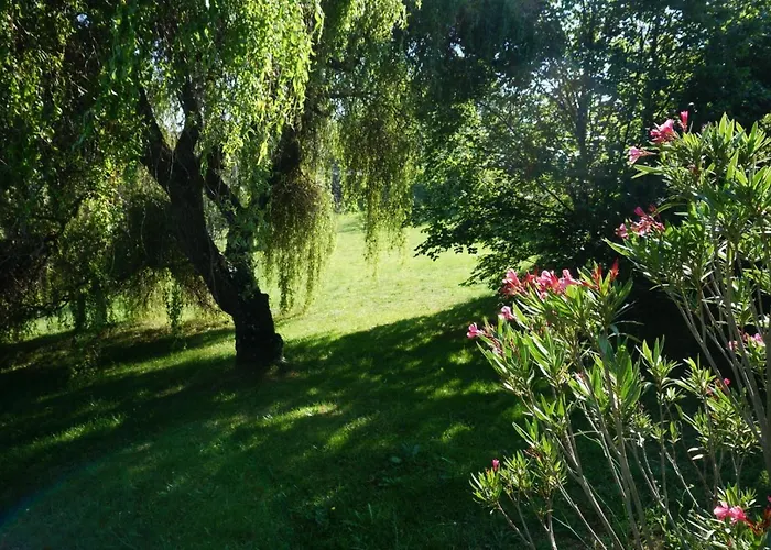 Les Volets Bleus Du Segur * Le Segur