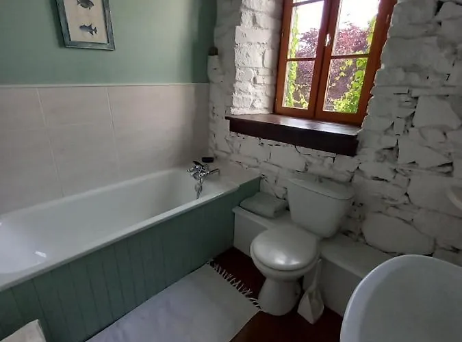 Les Volets Bleus Du Segur *