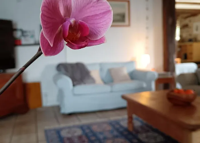 Les Volets Bleus Du Segur 펜션 *