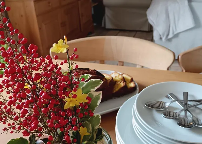 Les Volets Bleus Du Segur * Le Segur