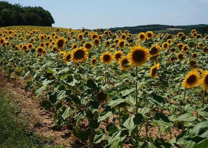 펜션 Les Volets Bleus Du Segur *
