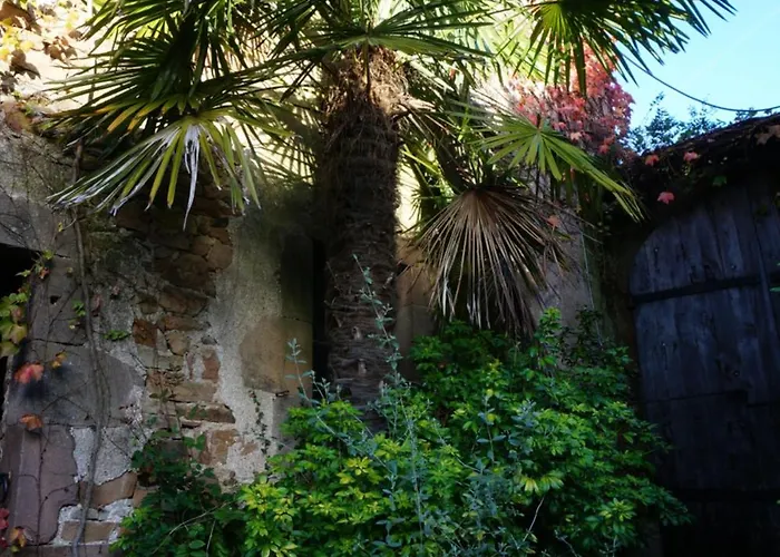 Les Volets Bleus Du Segur 펜션 *