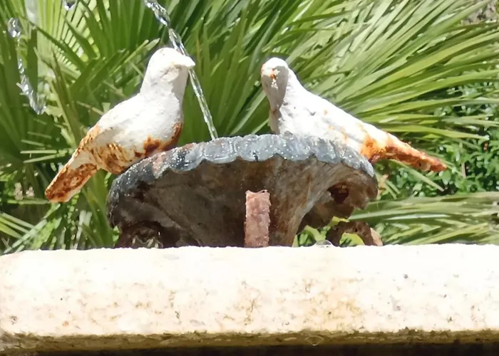 Les Volets Bleus Du Segur 펜션 *