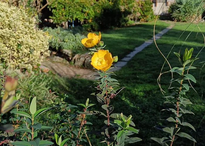 펜션 Les Volets Bleus Du Segur