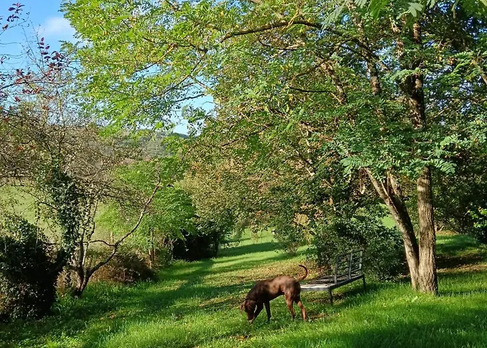 펜션 Les Volets Bleus Du Segur Le Segur