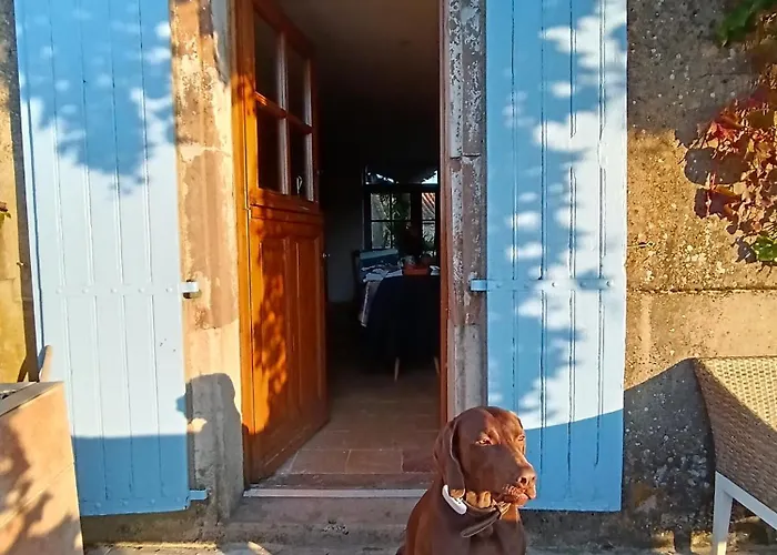 펜션 Les Volets Bleus Du Segur Le Segur