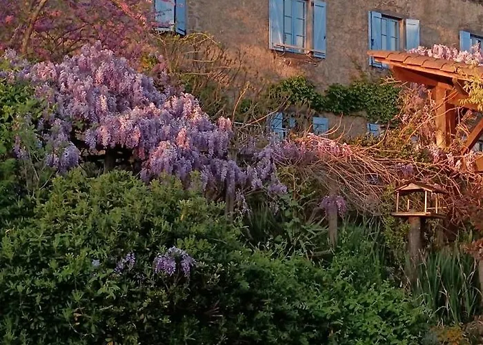 펜션 Les Volets Bleus Du Segur