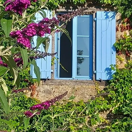 Les Volets Bleus Du Segur