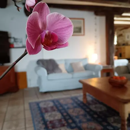 Les Volets Bleus Du Segur Nyaraló *