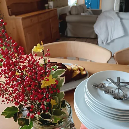 Les Volets Bleus Du Segur * Le Segur