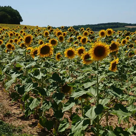 Сasa de vacaciones Les Volets Bleus Du Segur *
