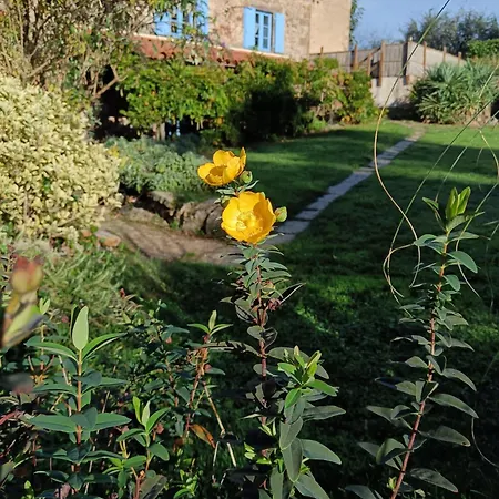 Nyaraló Les Volets Bleus Du Segur