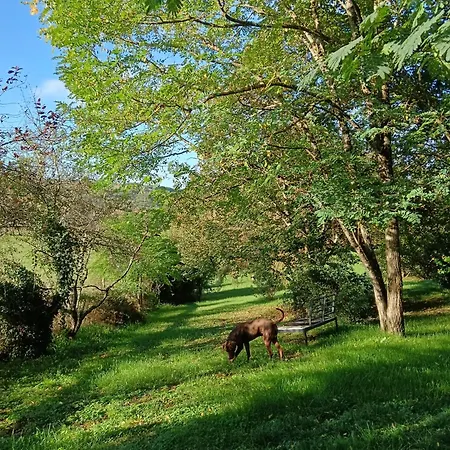 Сasa de vacaciones Les Volets Bleus Du Segur Le Segur