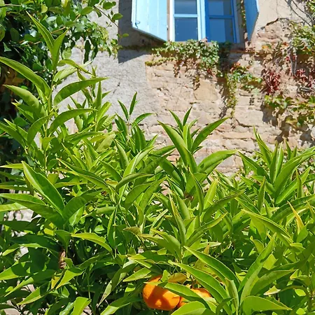 Les Volets Bleus Du Segur Hébergement de vacances Le Segur